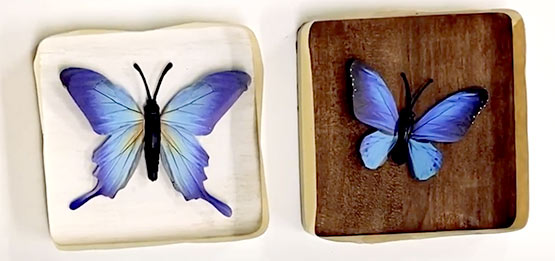 DIY Butterfly Resin Coasters