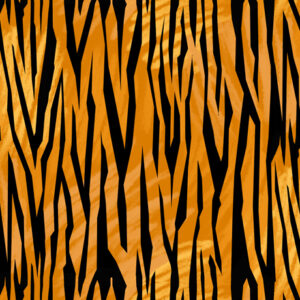 Tiger Tails fabric by QT fabrics