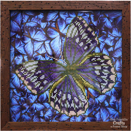 Diamond Art Butterfly Project Framed