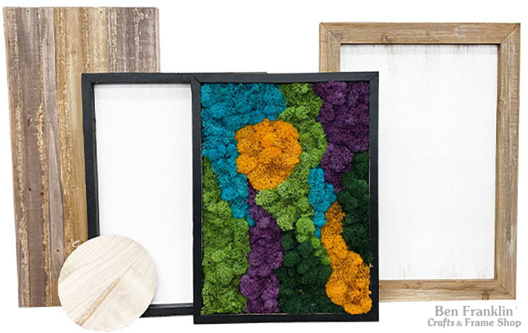 Moss Art Frame