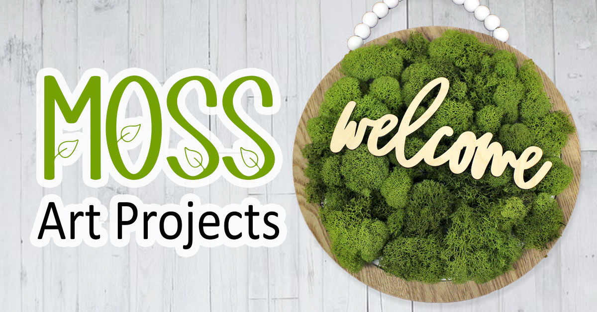 Moss Art Projects Ben Franklin Crafts and Frame Shop