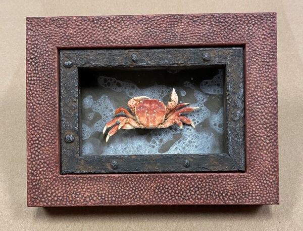 Custom Made Crab Shodowbox