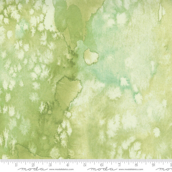 Fresh As A Daisy Fabric by Moda