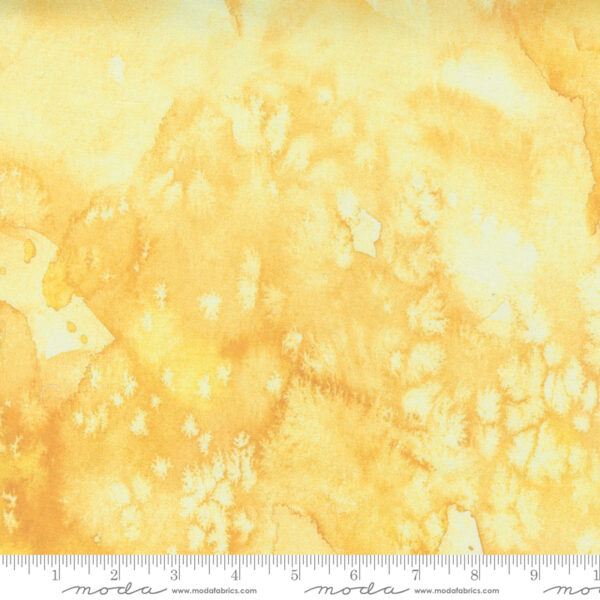 Fresh As A Daisy Fabric by Moda