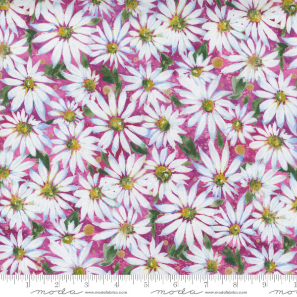 Fresh As A Daisy Fabric by Moda