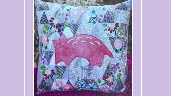 Cat Nap Pillow class