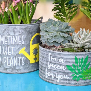 Cricut Metal Planter Class