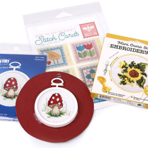 Cross-Stitch class