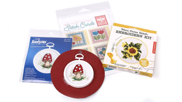 Cross-Stitch class