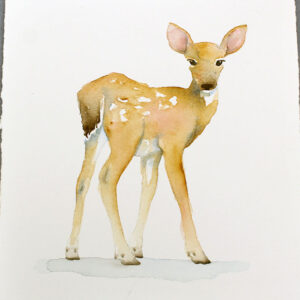 Watercolor Painting Class: Deer