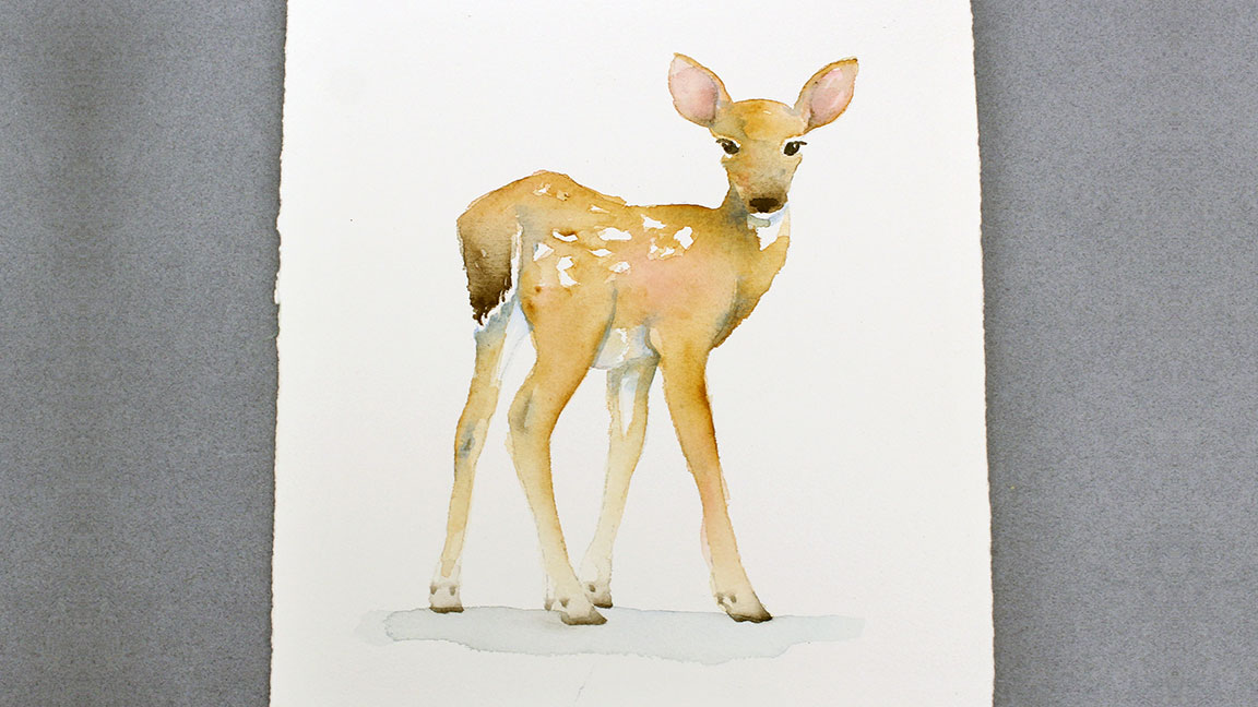 Watercolor Painting Class: Deer