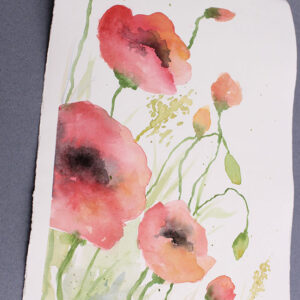 Watercolor Painting Class: Poppies