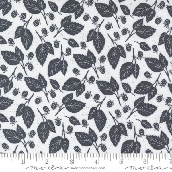 Midnight in the Garden Fabric by Moda