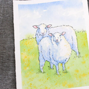 Watercolor Painting Class - Sheep