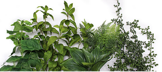 Greenery Sale