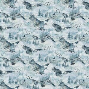 Soar fabric collection by Northcott Fabrics