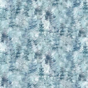 Soar fabric collection by Northcott Fabrics
