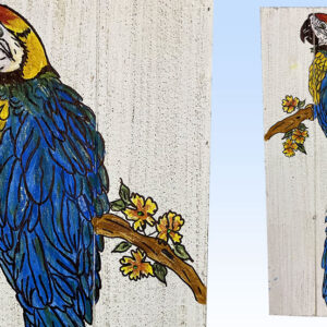 Acrylic Painting class - Parrot