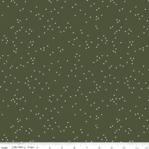 Wildwood Wander Fabric by Riley Blake Designs