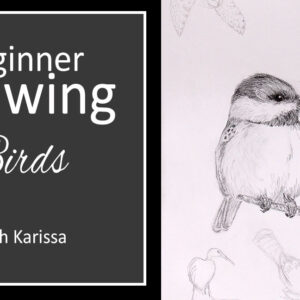 Pencil Drawing Class