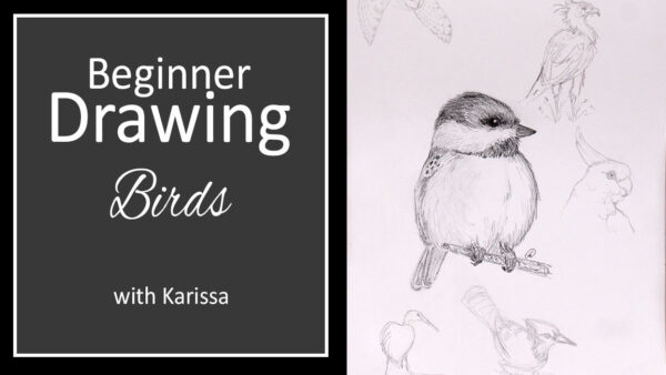Pencil Drawing Class