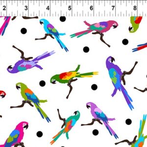 Colorful Fabric by Jason Yenter for In The Beginning Fabrics