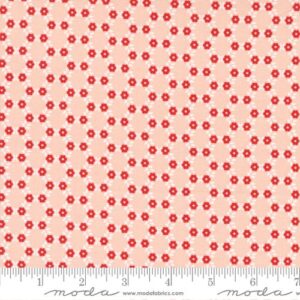 Dwell Fabric by Camille Roskelley for Moda