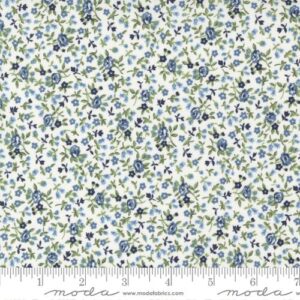 Dwell Fabric by Camille Roskelley for Moda