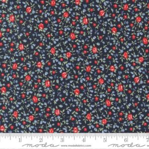 Dwell Fabric by Camille Roskelley for Moda