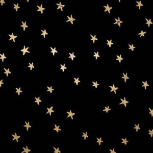 STARRY fabric by Alexia Abegg for Ruby Star Society | RS 4006 27M
