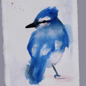 Watercolor Painting Class: Blue Jay
