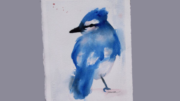 Watercolor Painting Class: Blue Jay