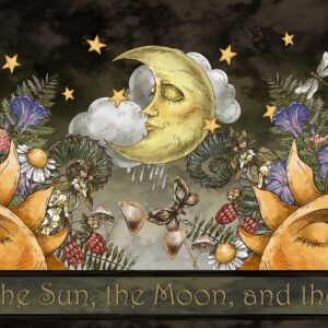 THE SUN, THE MOON, AND THE STARS! fabric by Jason Yenter for In The Beginning Fabrics