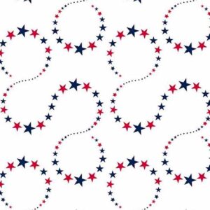 STARS and STRIPES fabric by Andover Fabrics