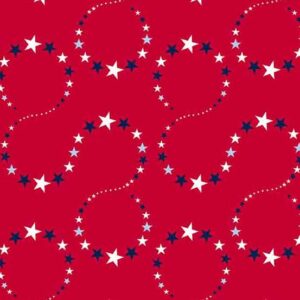 STARS and STRIPES fabric by Andover Fabrics