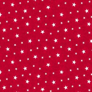 STARS and STRIPES fabric by Andover Fabrics