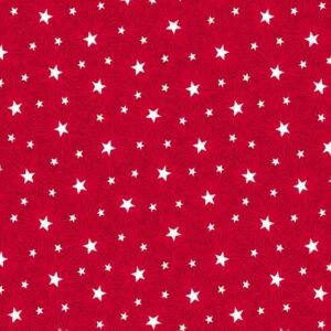 STARS and STRIPES fabric by Andover Fabrics