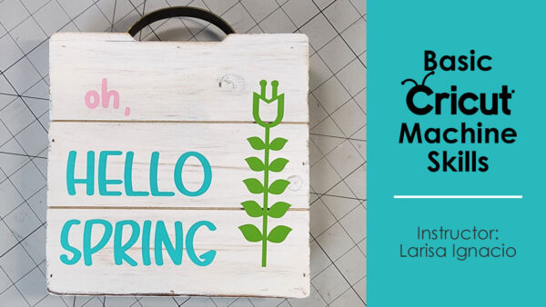 Basic Cricut Skills class