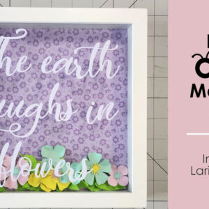 Basic Cricut Skills - class