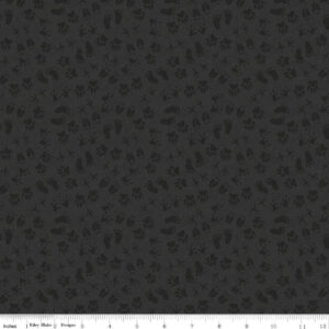 LEGENDS OF THE NATIONAL PARKS fabric by Anderson Design for Riley Blake Designs