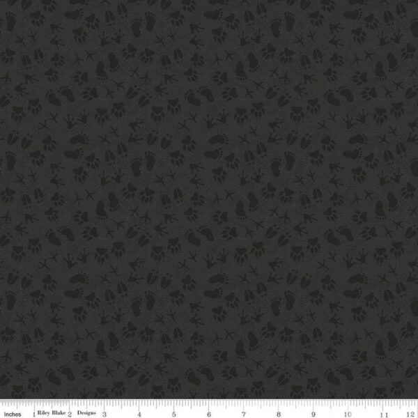 LEGENDS OF THE NATIONAL PARKS fabric by Anderson Design for Riley Blake Designs