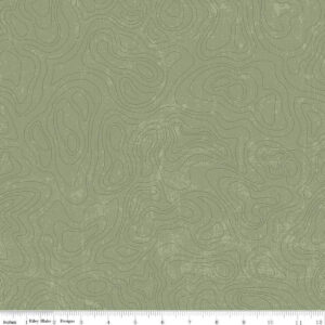 NATIONAL PARKS fabric by Anderson Design Group for Riley Blake Designs
