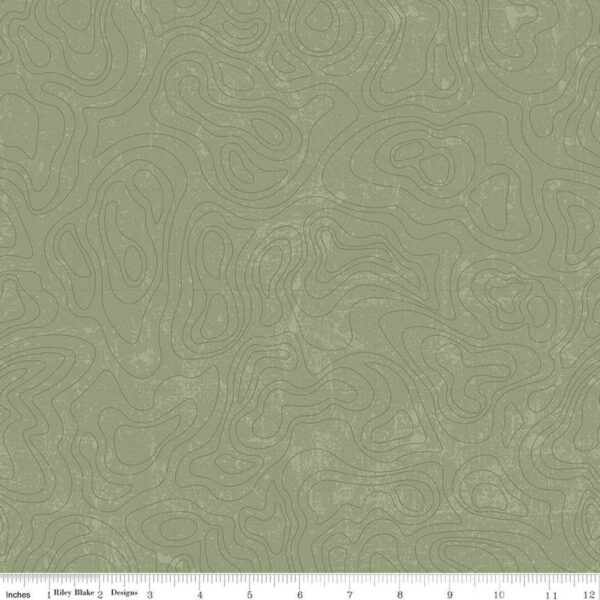 NATIONAL PARKS fabric by Anderson Design Group for Riley Blake Designs