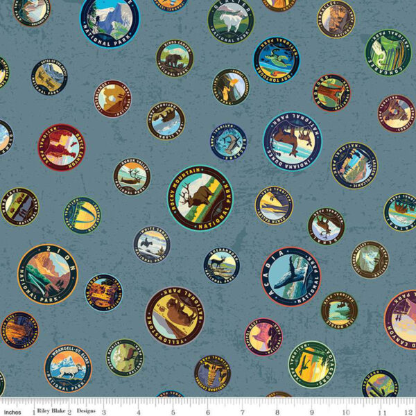 NATIONAL PARKS fabric by Anderson Design Group for Riley Blake Designs
