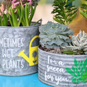 Basic Cricut Skills class