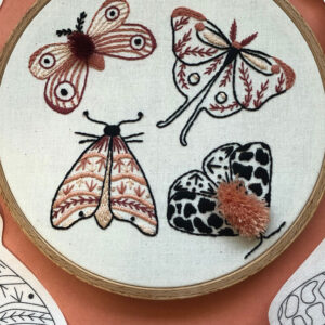 Fluffy Moth Embroidery class