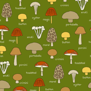 GIVE THANKS fabric by Kim Schaefer for Andover Fabrics