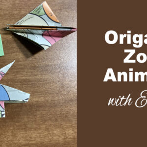 Origami Zoo Animals Class