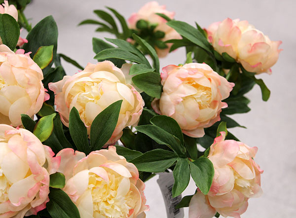 Spring Floral 50% off