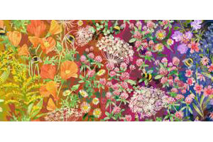 WILD BLOSSOMS fabric by Robin Pickens for Moda Fabrics